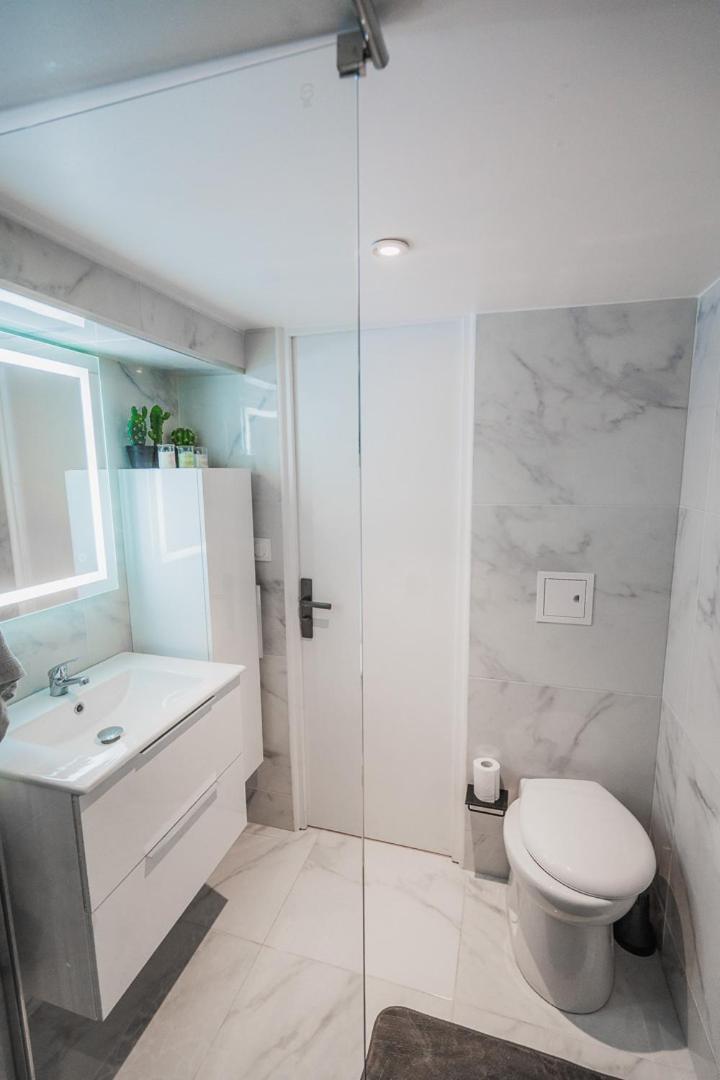 Maison Zola Fleury-les-Aubrais Esterno foto